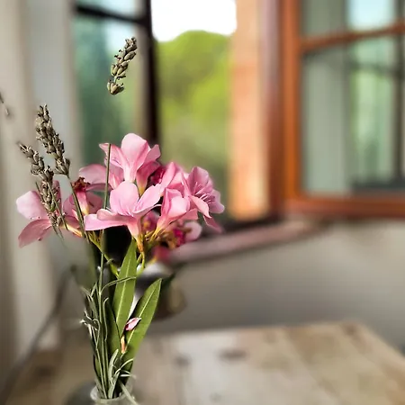 Poggio Dell - Beautiful Tuscan